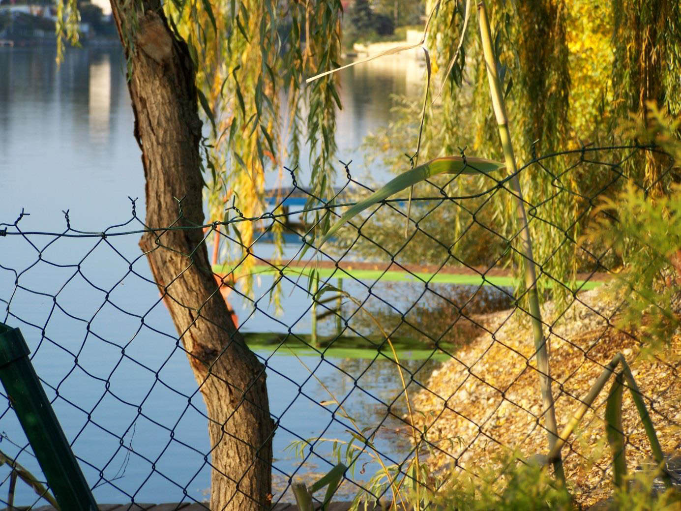 Az első a három kerítés közül melyiket meg kellett másznom.