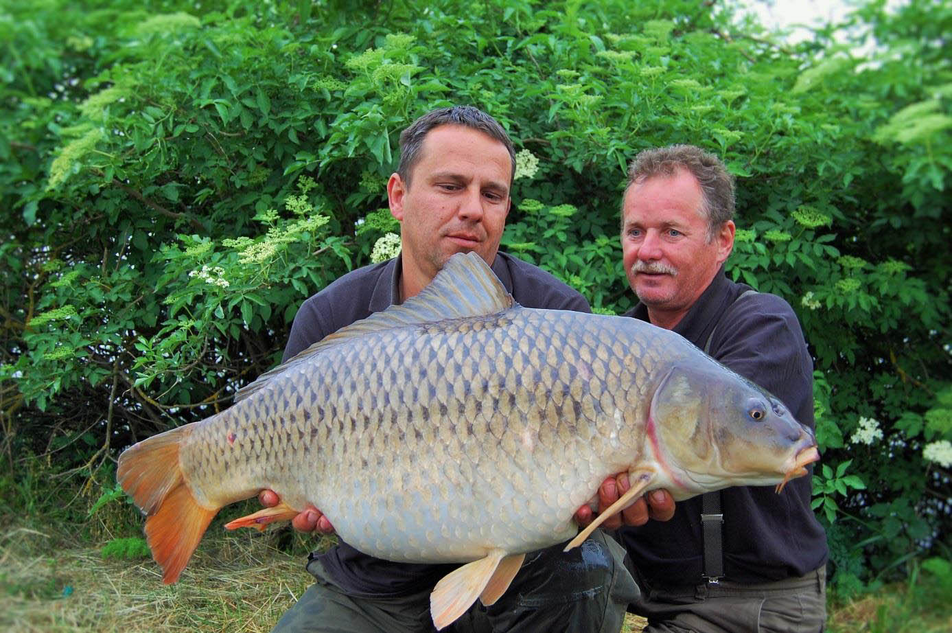 Tőzegen is tökéletesen működik